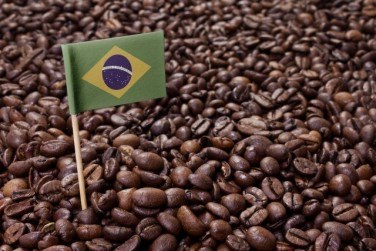 ブラジルコーヒーの特徴