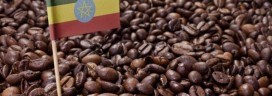 Flag of Ethiopia coffee 272x96