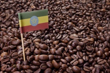 エチオピアコーヒーの特徴