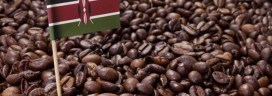 Flag of Kenya coffee 272x96