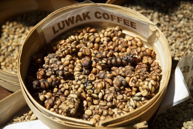 世界一希少な”luwak coffee”の飲み方