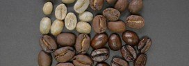 coffee beans seibun 272x96