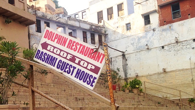dolphinrestaurant_看板
