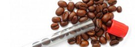 Coffee beans testtube 272x96