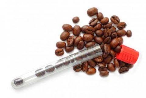 Coffee beans testtube 480x324