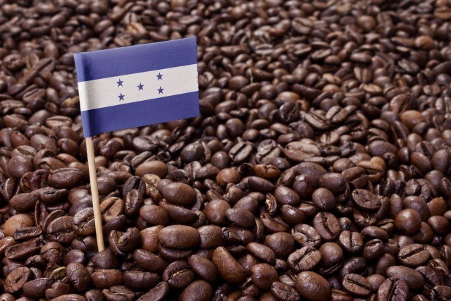 ホンジュラスコーヒーの文化と特徴