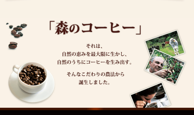 森のコーヒー(銀座カフェー・パウリスタ)お試しセット