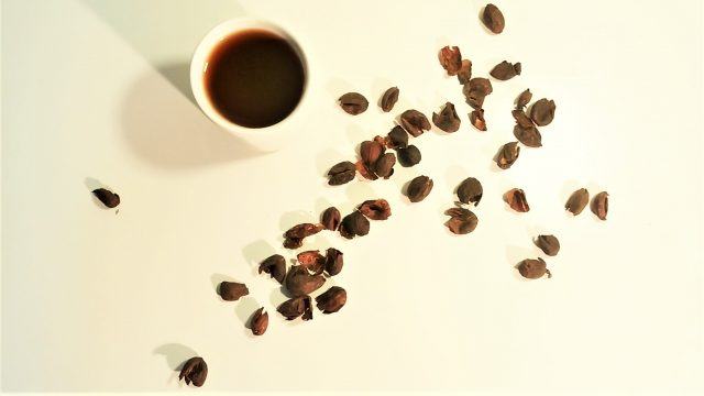 コーヒーの果実茶 カスカラティー キシル とは Coffeemecca