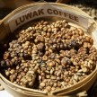 世界一希少な”luwak coffee”の飲み方