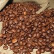 コーヒー豆アラビカ種の特徴と産地