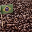 ブラジルコーヒーの特徴