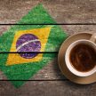 コーヒーの歴史23【栽培史⑥ブラジルのコーヒー産業拡大】